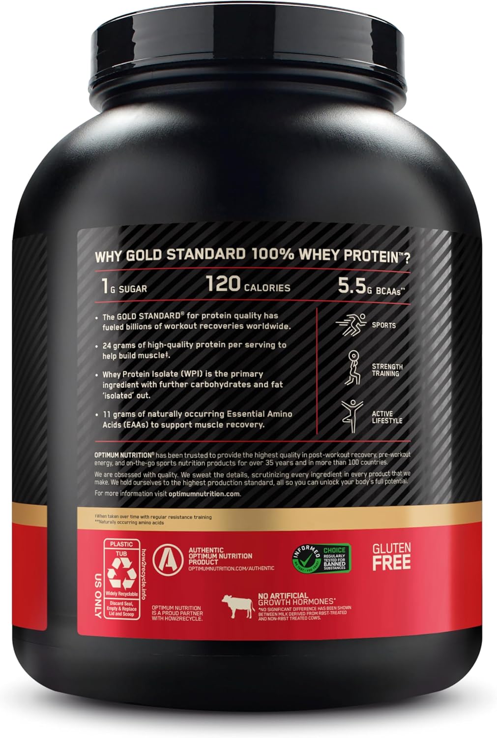 Optimum Nutrition Gold Standard Whey Protein – Double Rich Chocolate